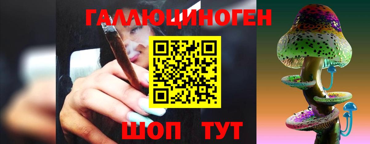 Ишимбай  Псилоцибиновые грибы Psilocybe  наркошоп  Вход с VPN 